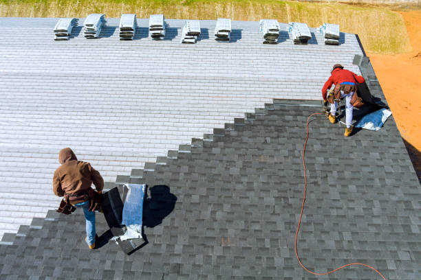 Best Shingle Roofing Installation  in Mccamey, TX