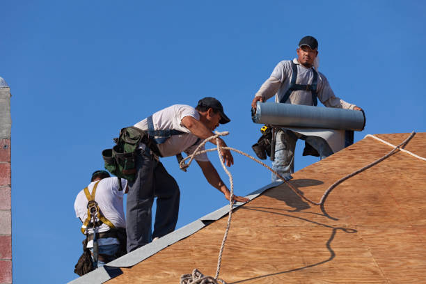 Best Sealant for Roof  in Mccamey, TX