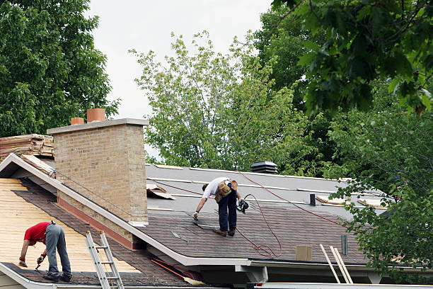 Best Roof Waterproofing Services  in Mccamey, TX