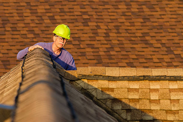 Best Roof Gutter Cleaning  in Mccamey, TX